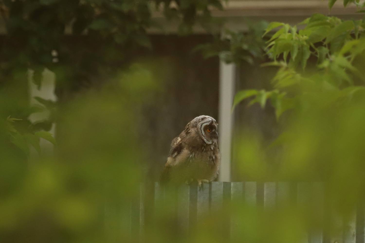 Photo #13740225
