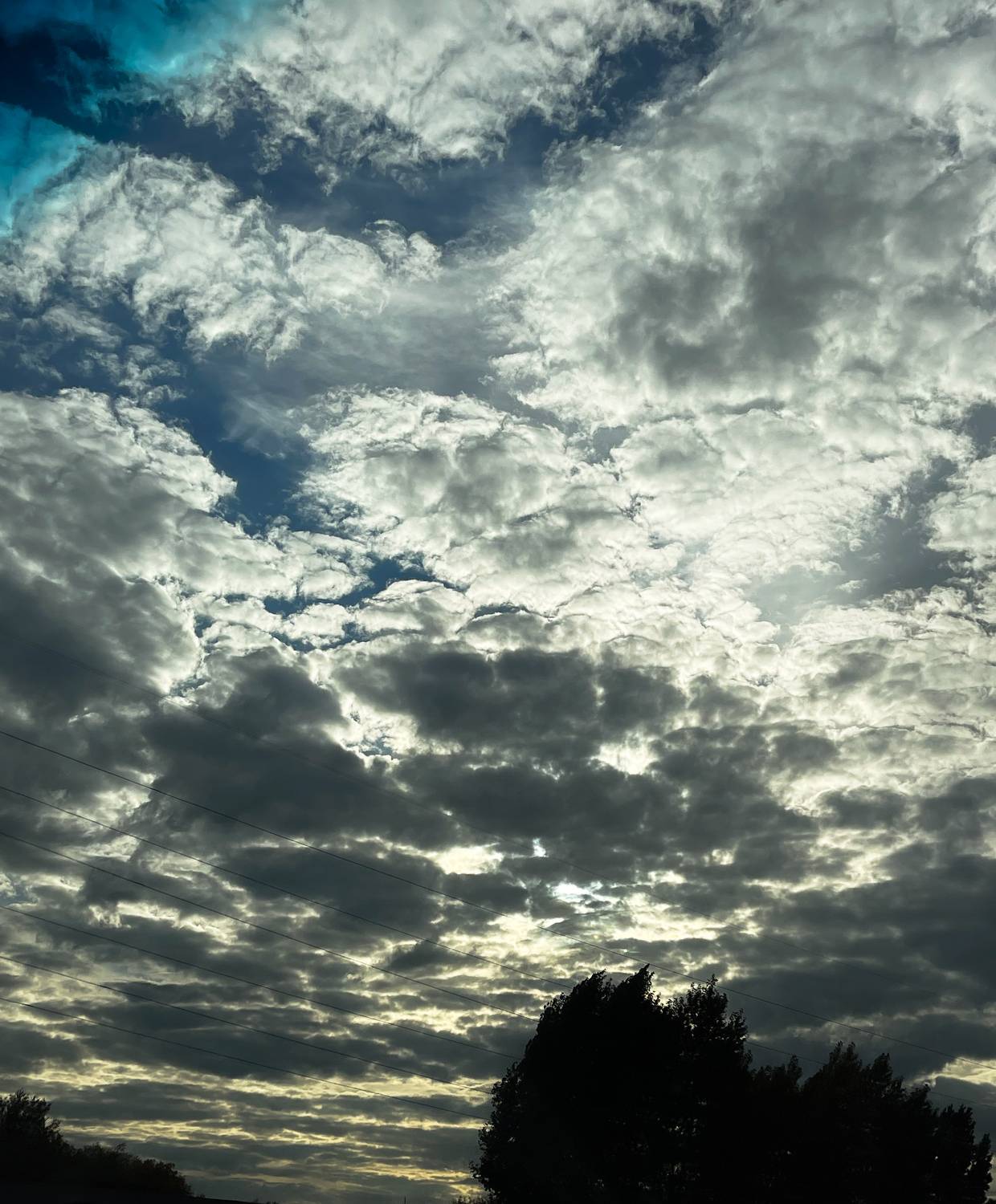 Photo #13740290
