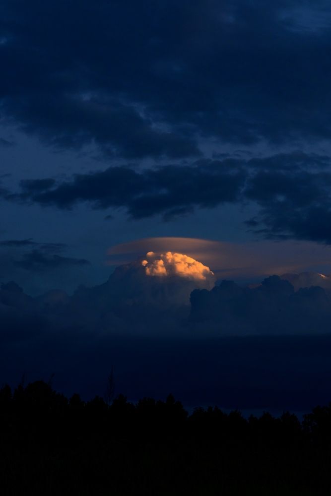 Photograph by Al Li