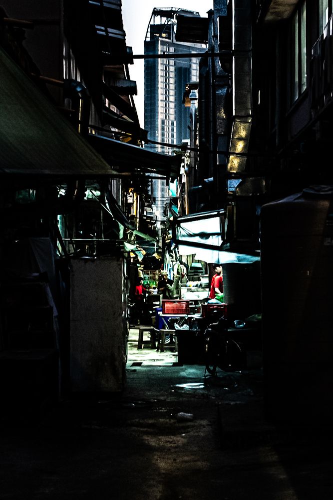 Photograph by nishijima takayuki