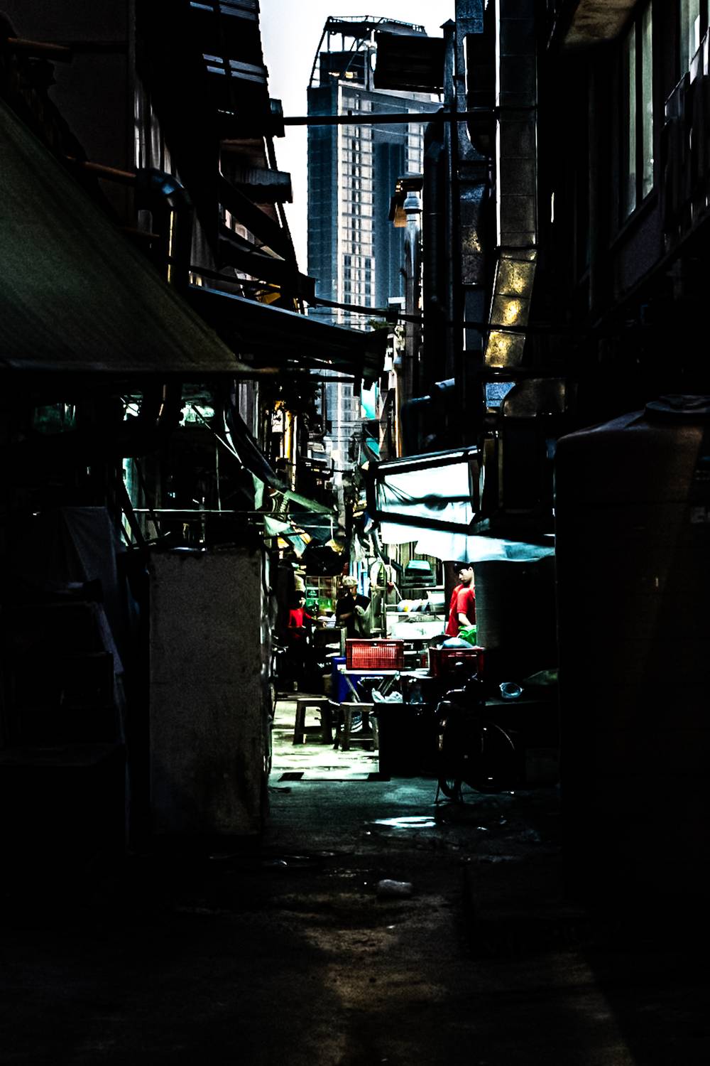 Photo #13740396