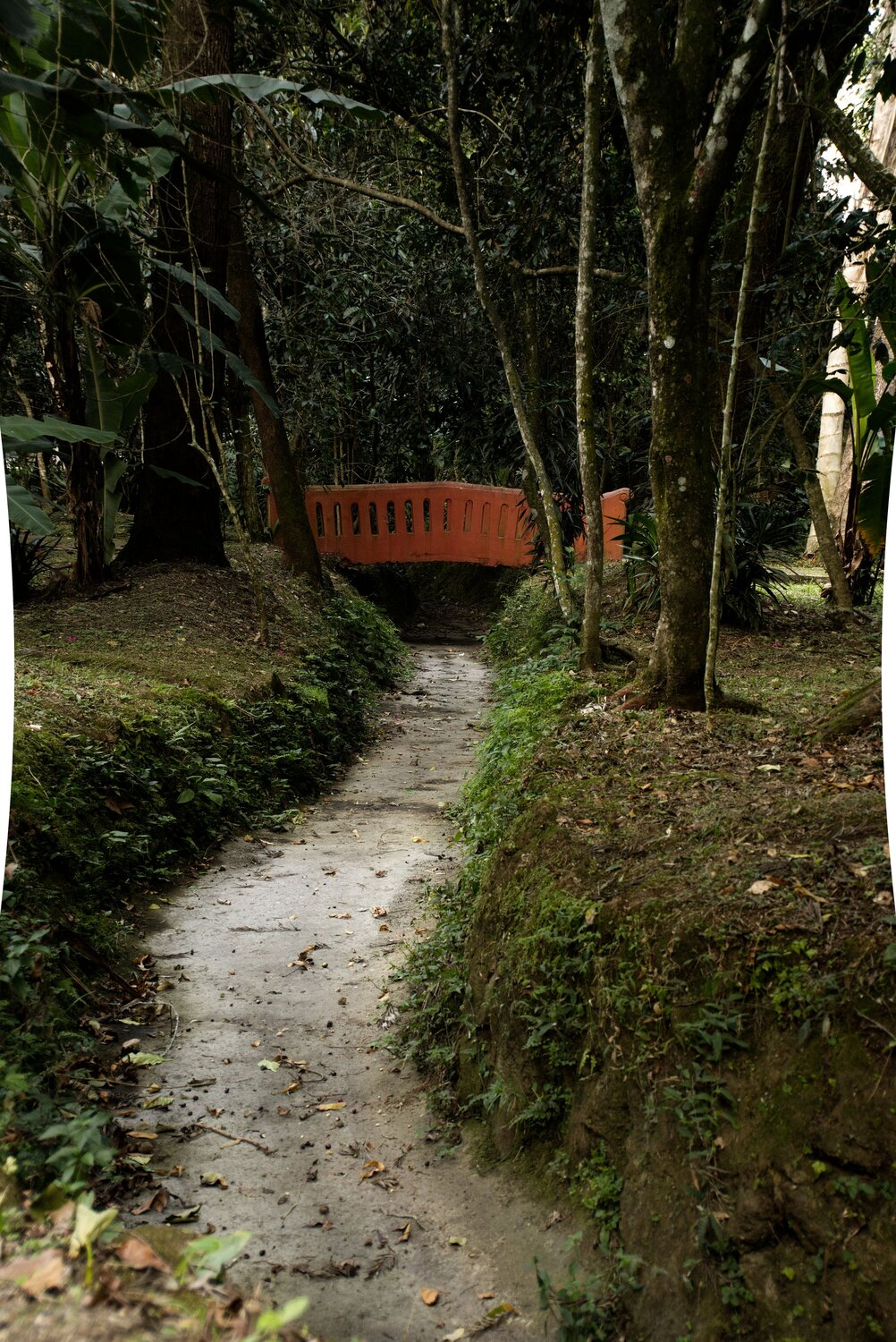 Sendero al secreto