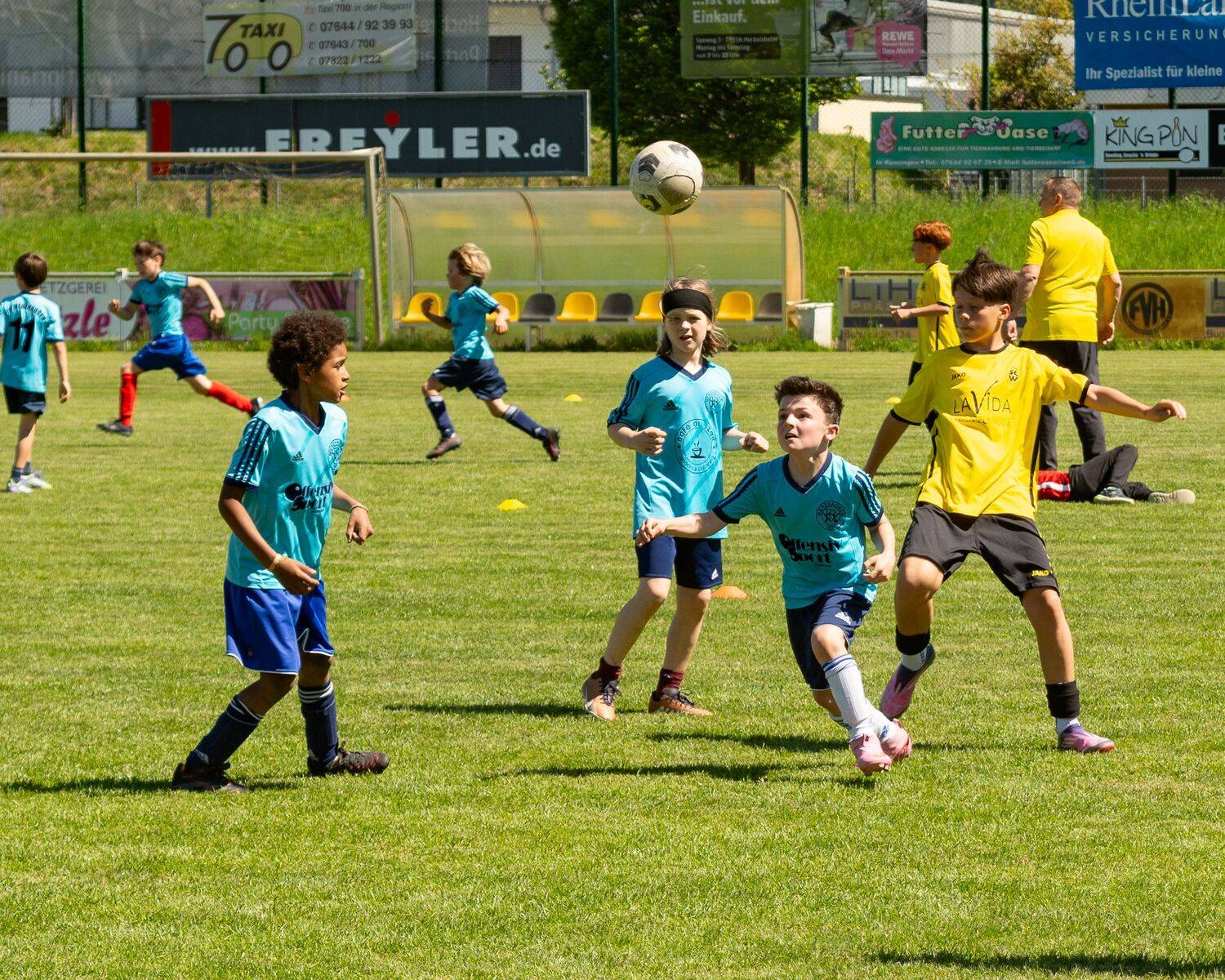 Photo #13740598