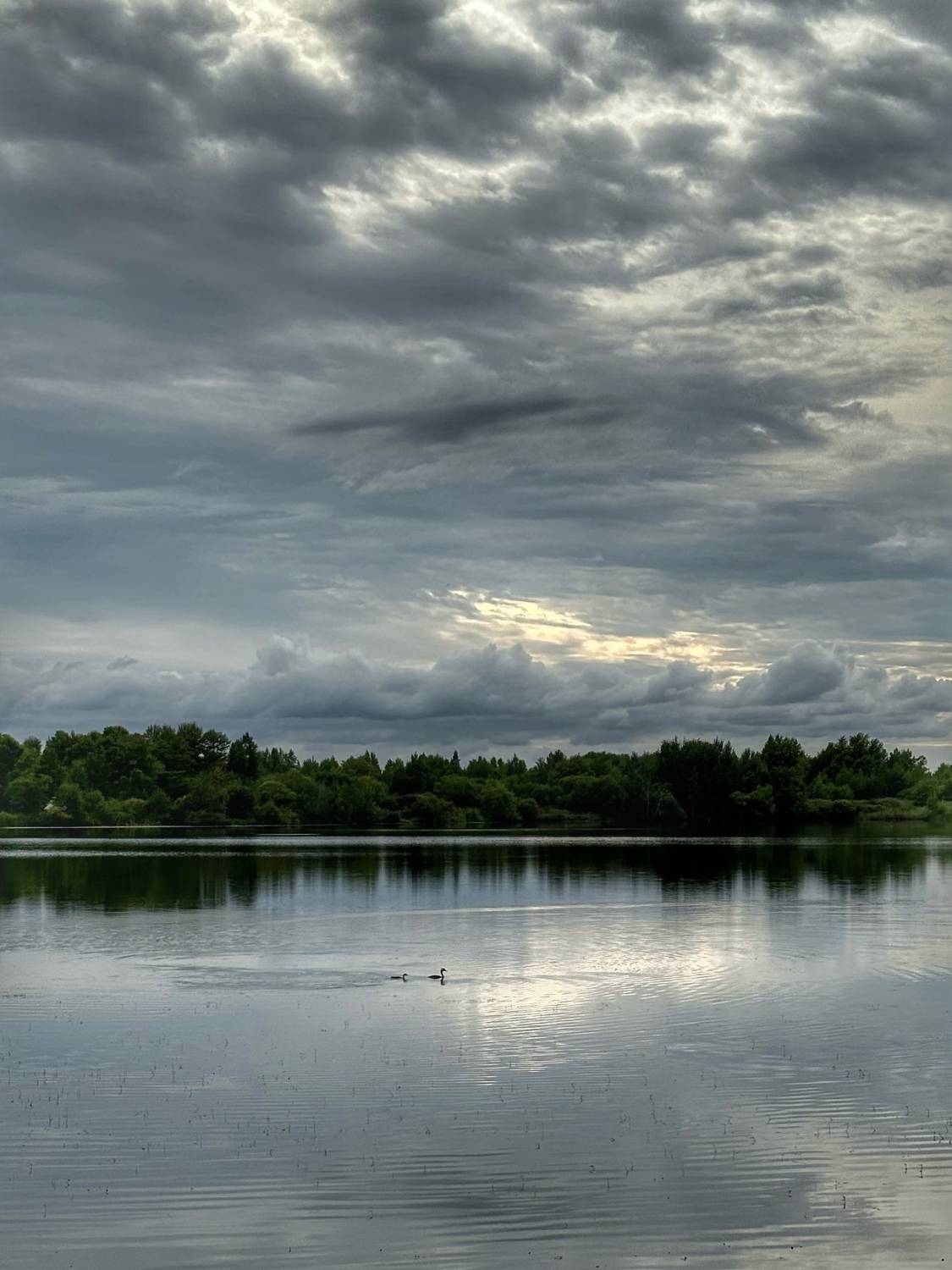 Photo #13740604