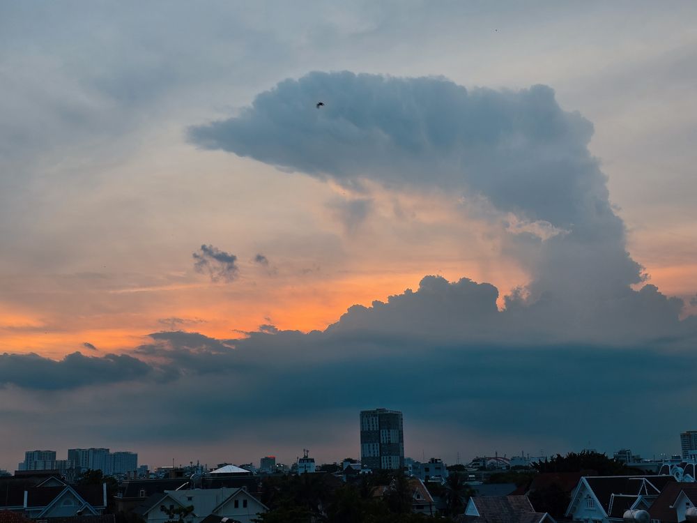 Photograph by Chau Nguyen