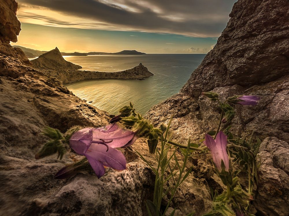 Photograph by Александр Разумов