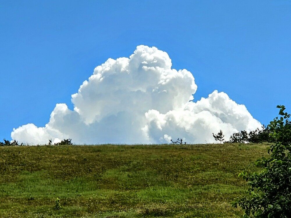 Photograph by Людмила Локтионова