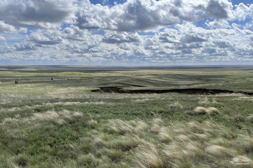 Photograph by Веста Ягужинская