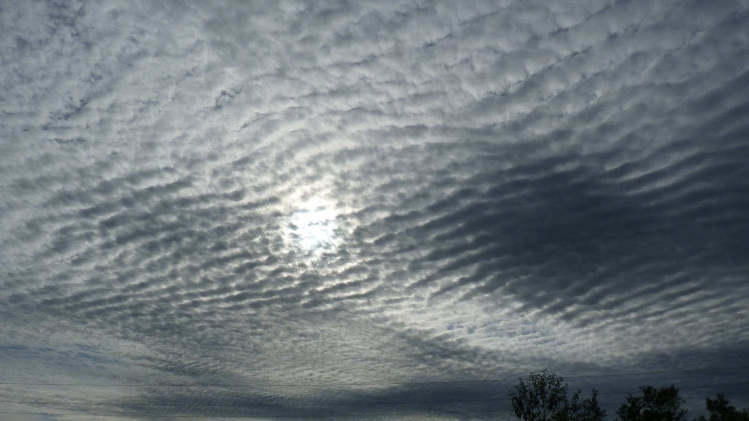 Photo #13740641