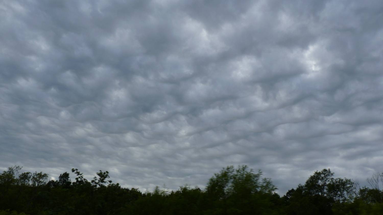 Photo #13740643