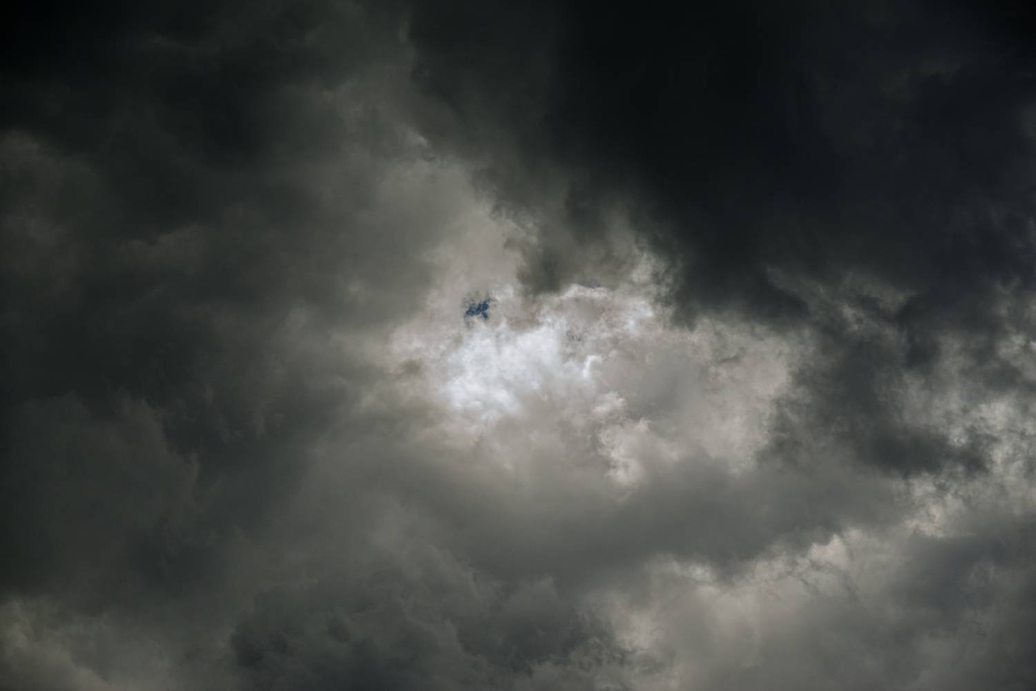 Photo #13740647