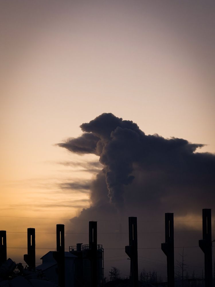 Photograph by Ярослава Васильева