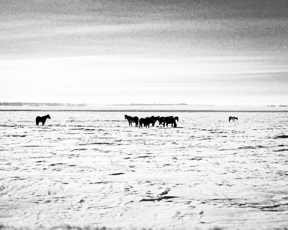 Photograph by Sergey Boiko