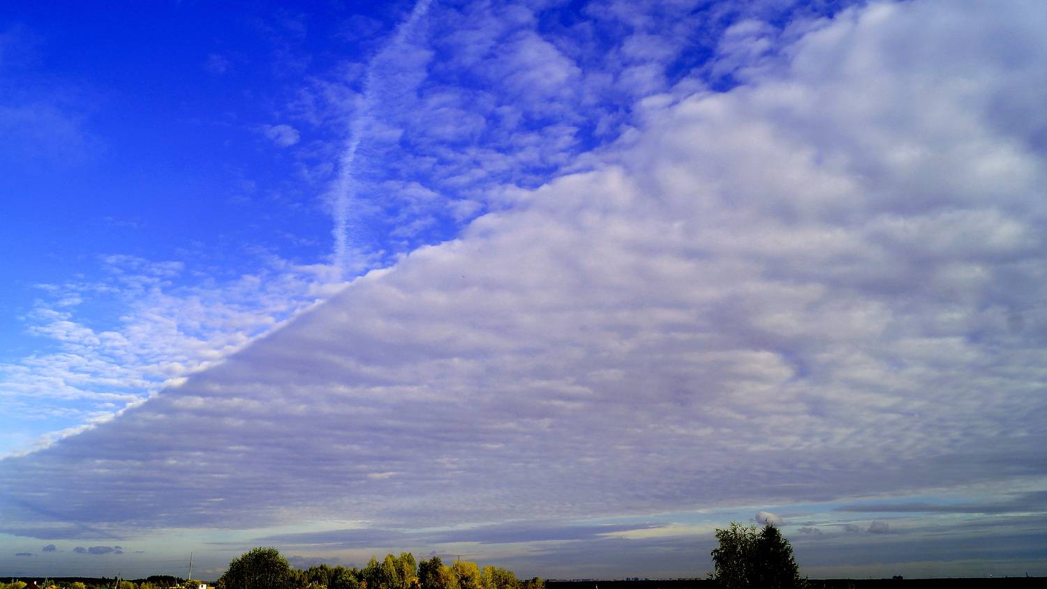 Photo #13740752