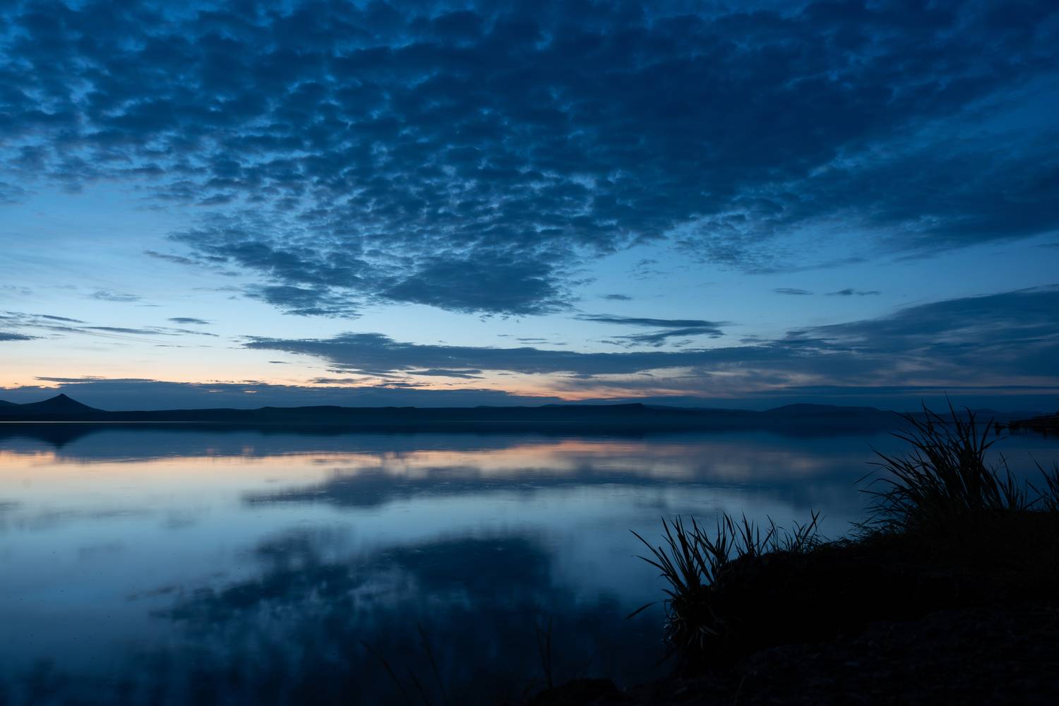Photo #13740766