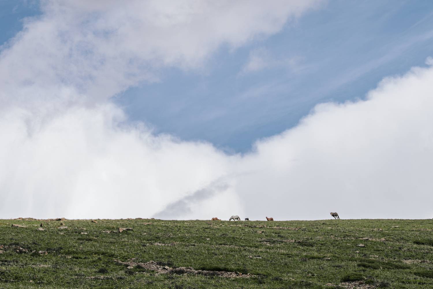 Photo #13740793