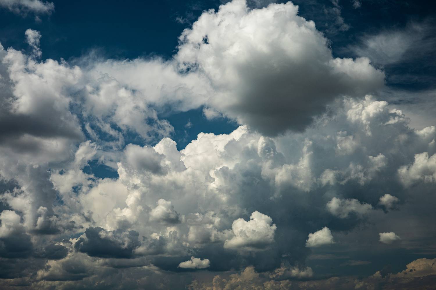 Photo #13740806