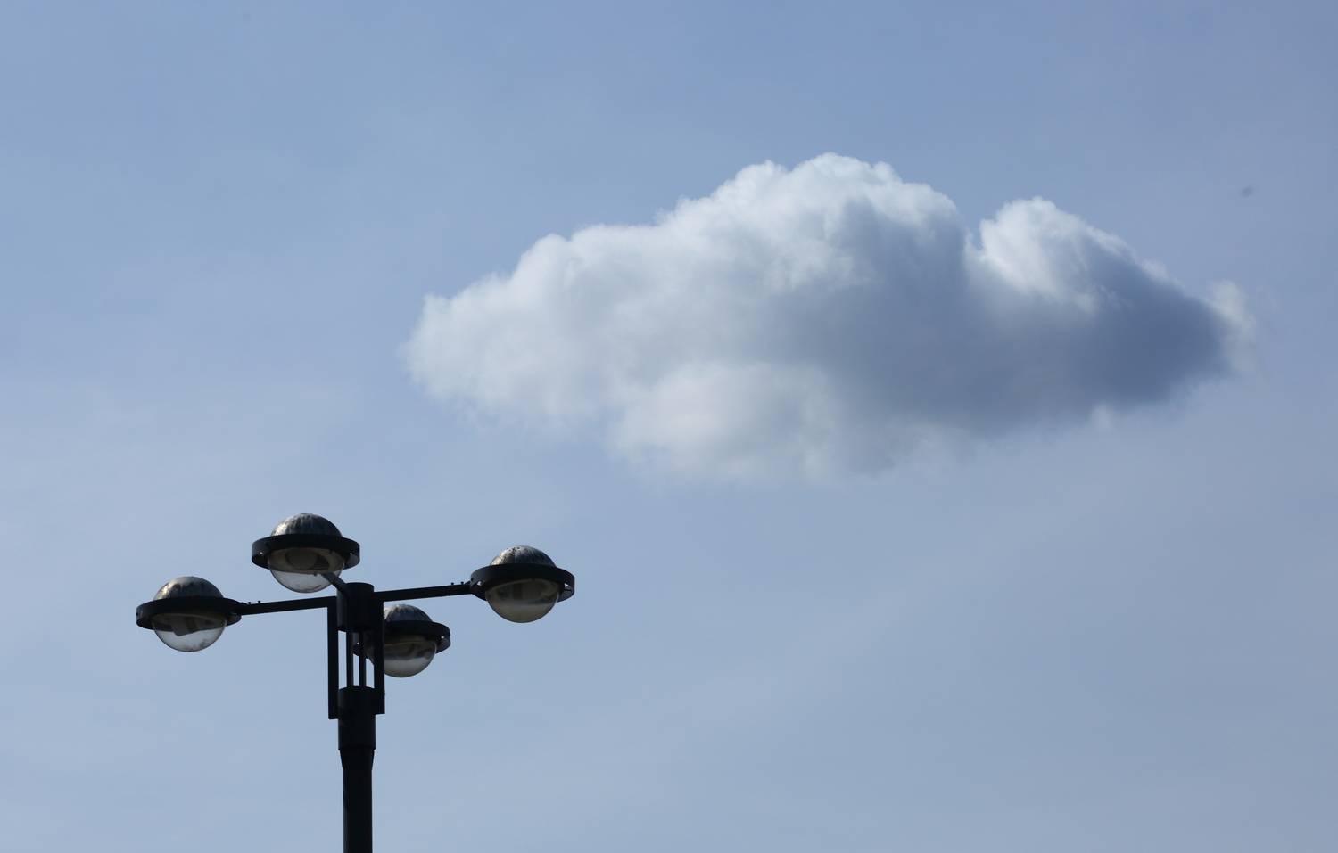 Photo #13740811