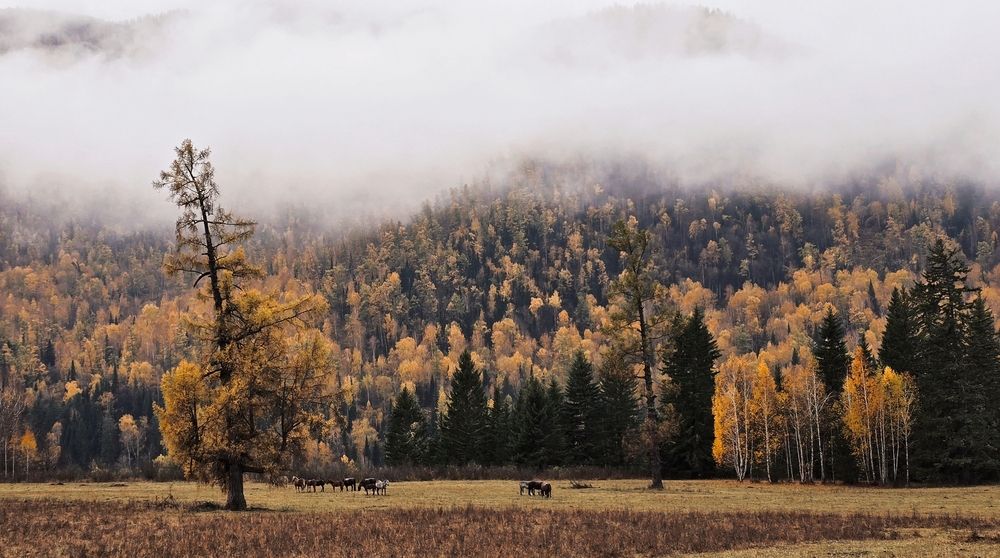 Photograph by Полина Котегова