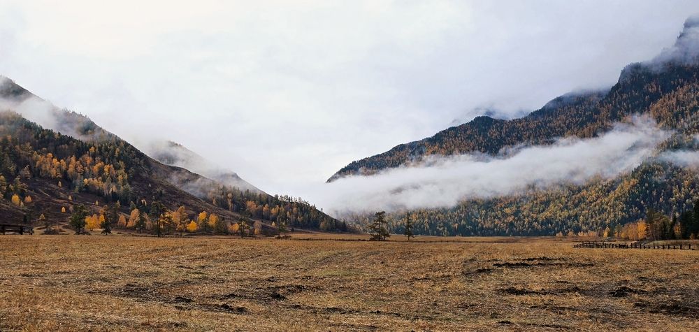 Photograph by Полина Котегова