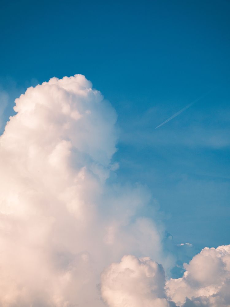 Photograph by KHOA