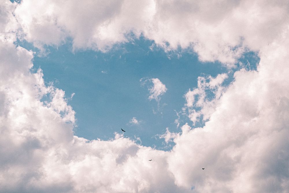 Photograph by KHOA