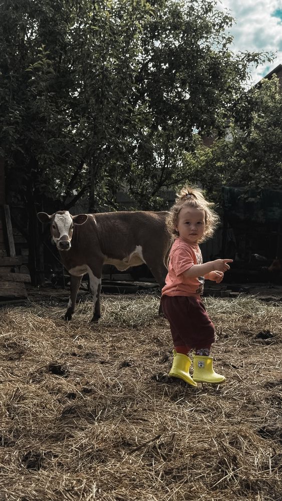 Photograph by Регина Усова