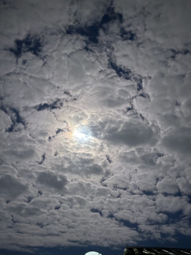 Photograph by Дарья Ларченко