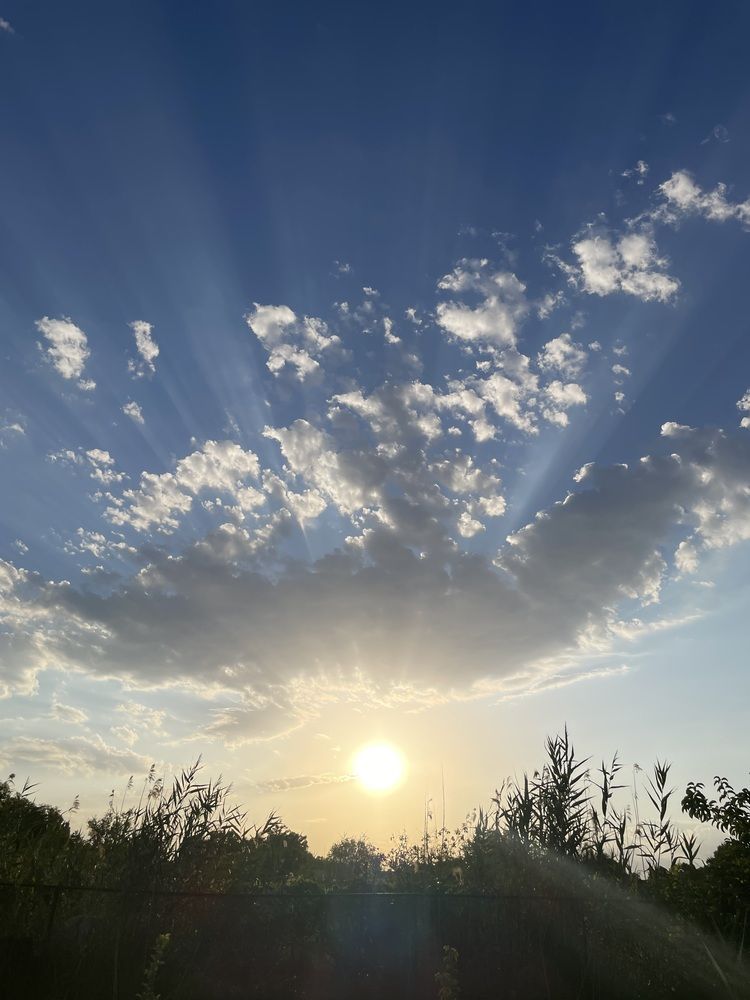 Photograph by Дарья Ларченко