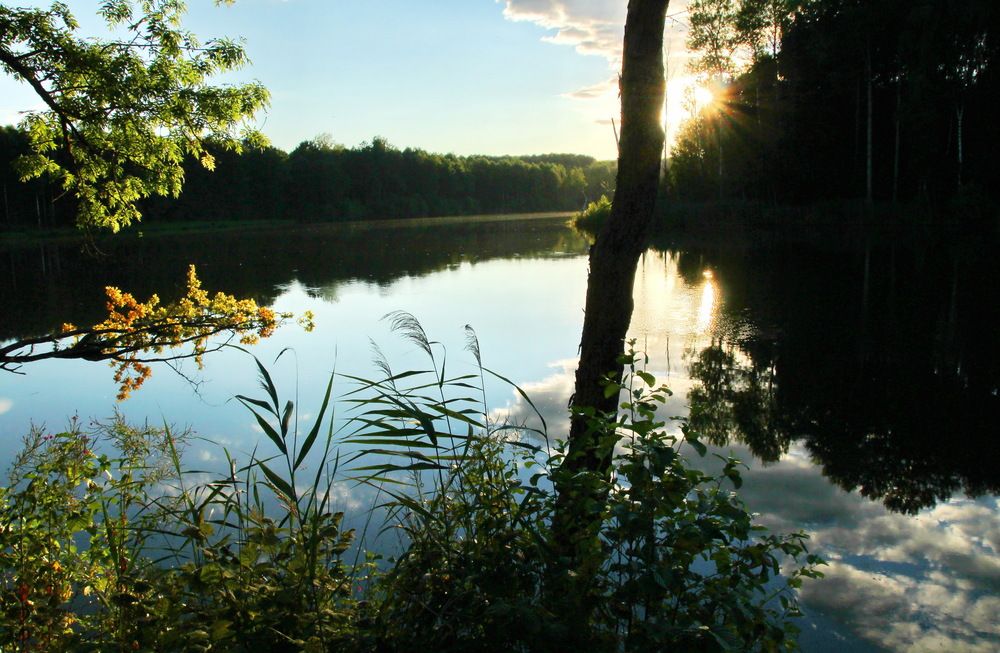 Photo #13740931