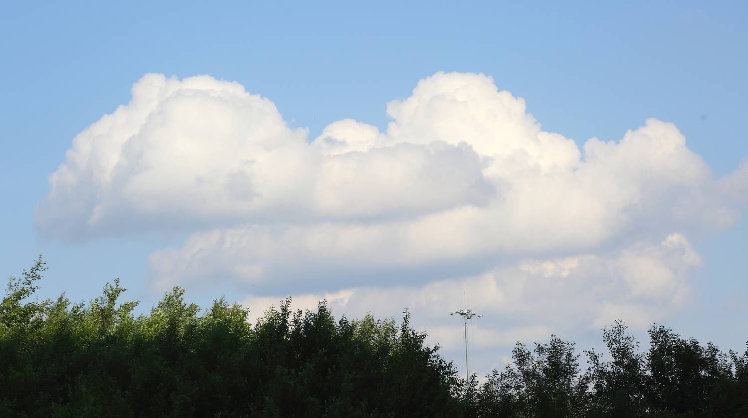Photo #13740947