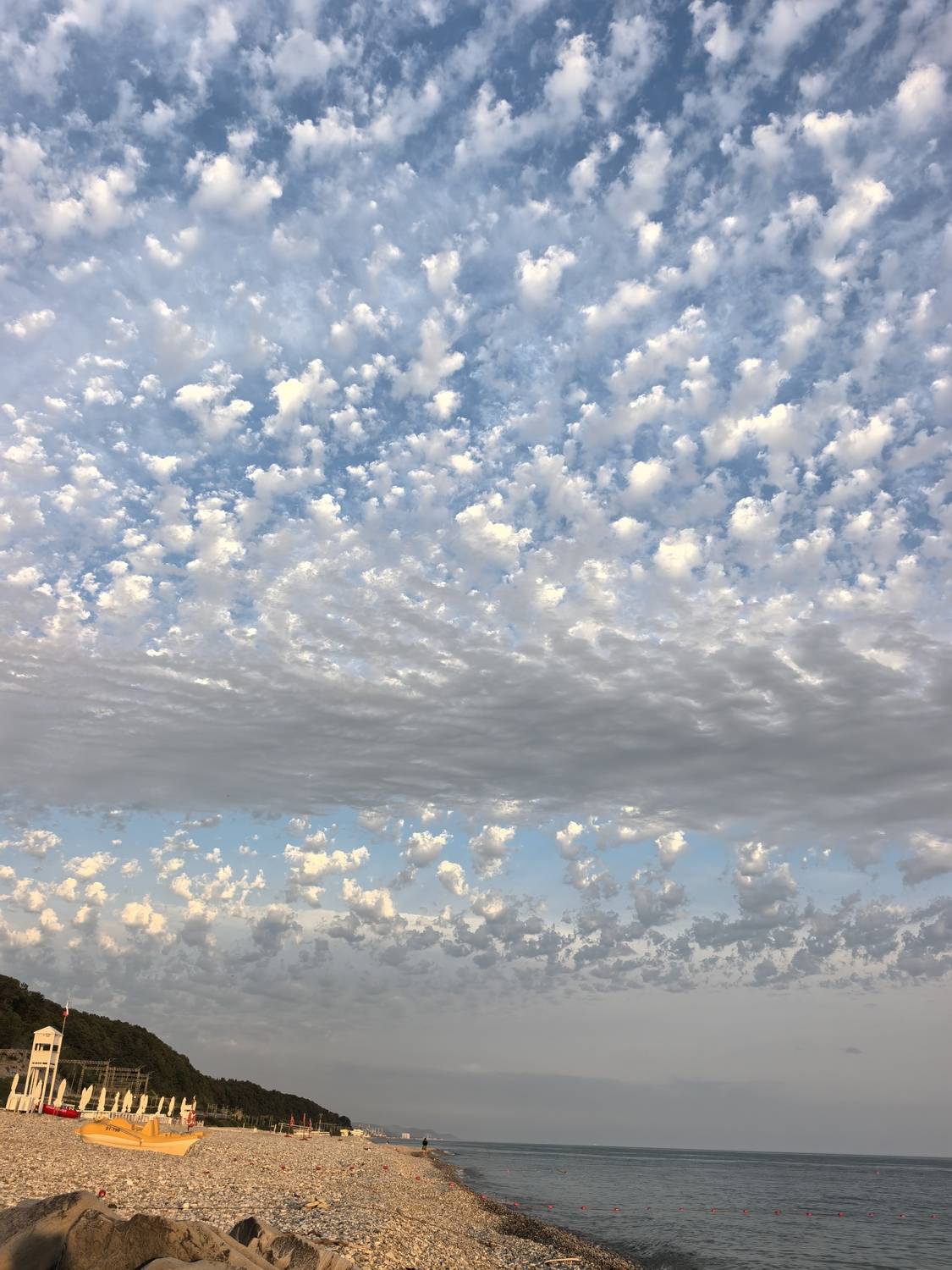 Photo #13741163