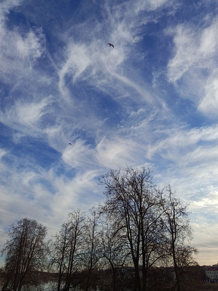 Photograph by Ольга Пашкова