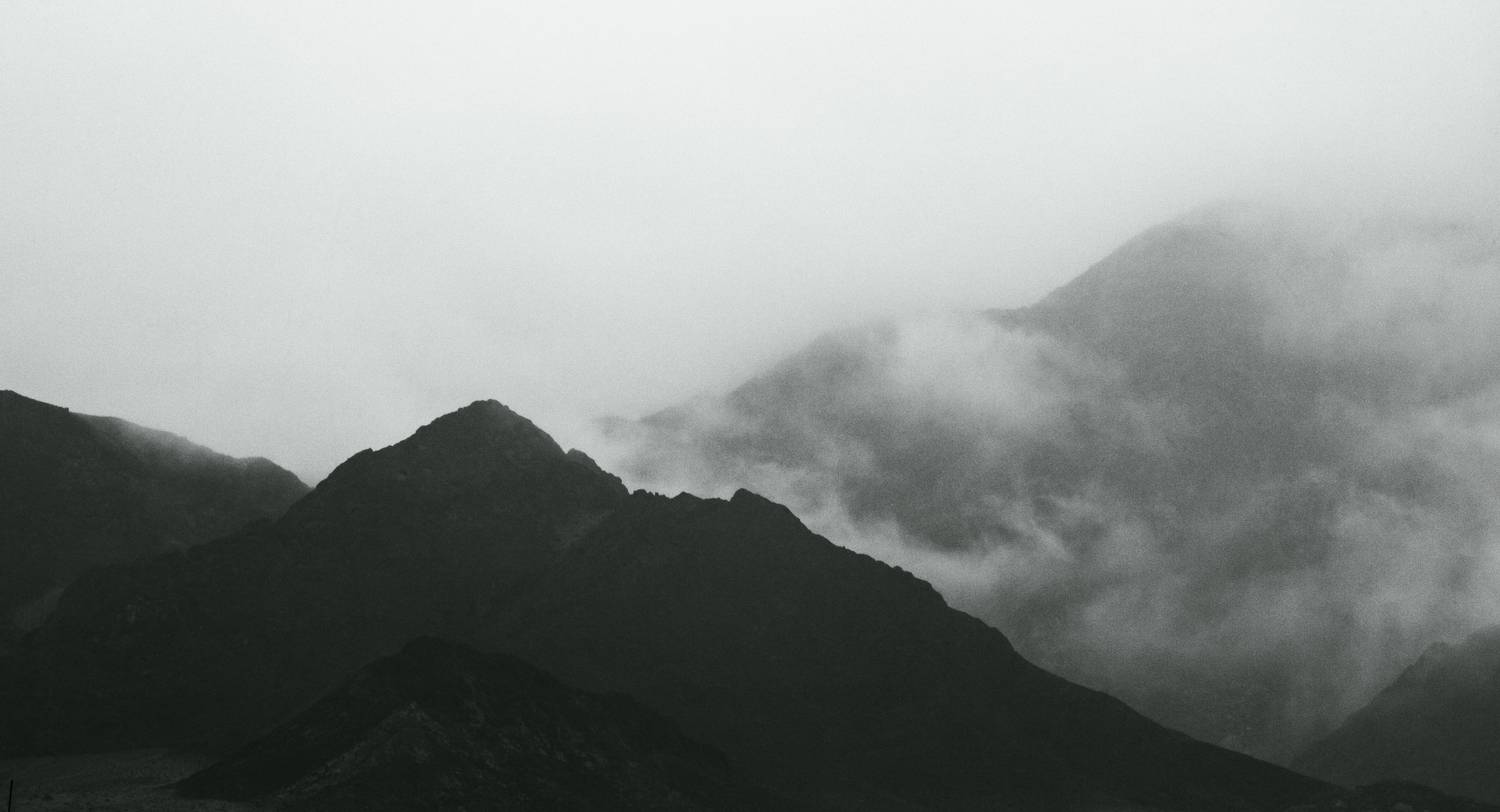 Photo #13741206