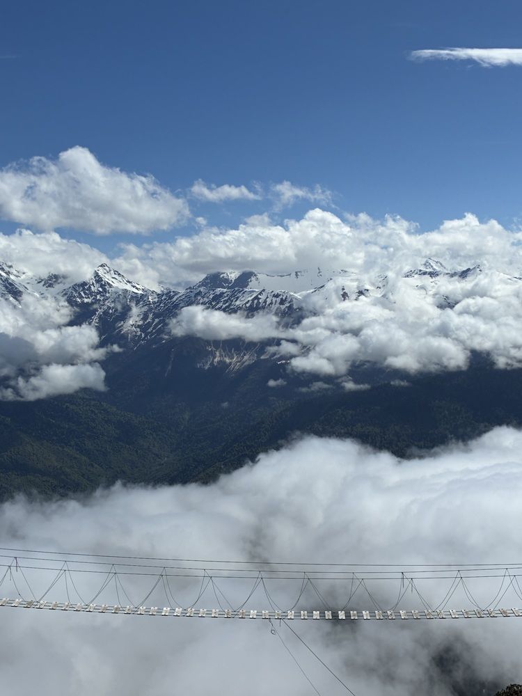 Photo #13741268