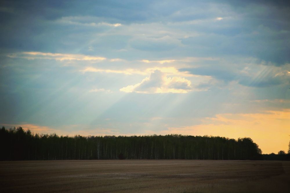 Photograph by Нина Долгова