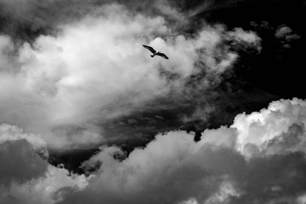 Photograph by Роман Гурененко