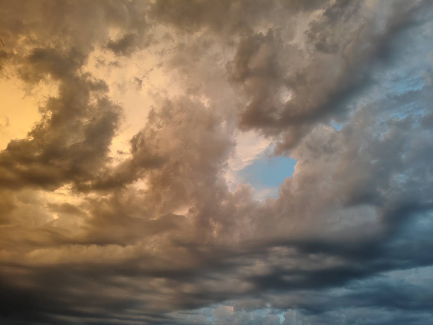 Photo #13741363