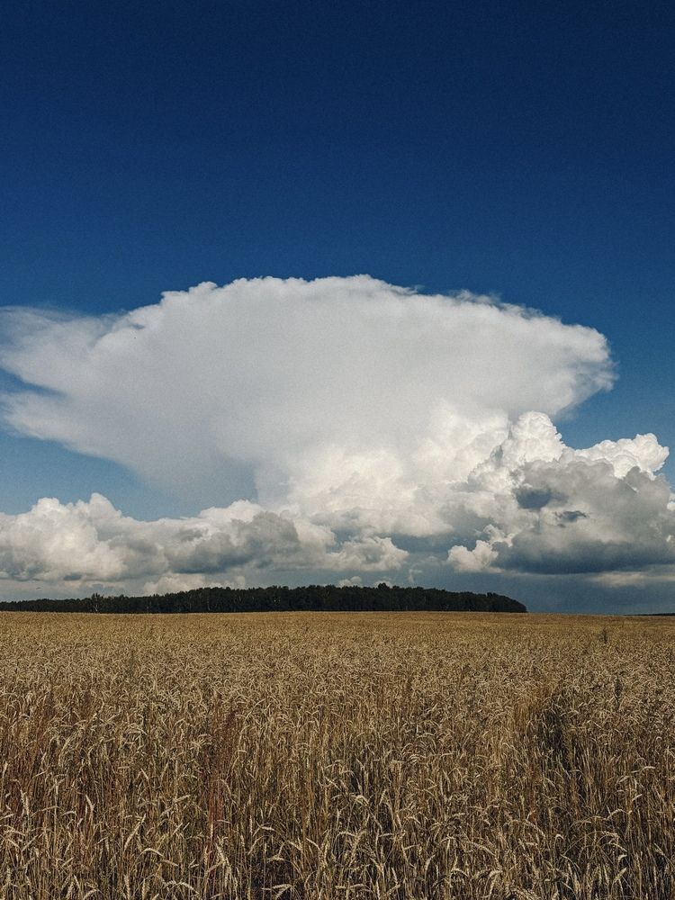 Фотография автора Елена Романова