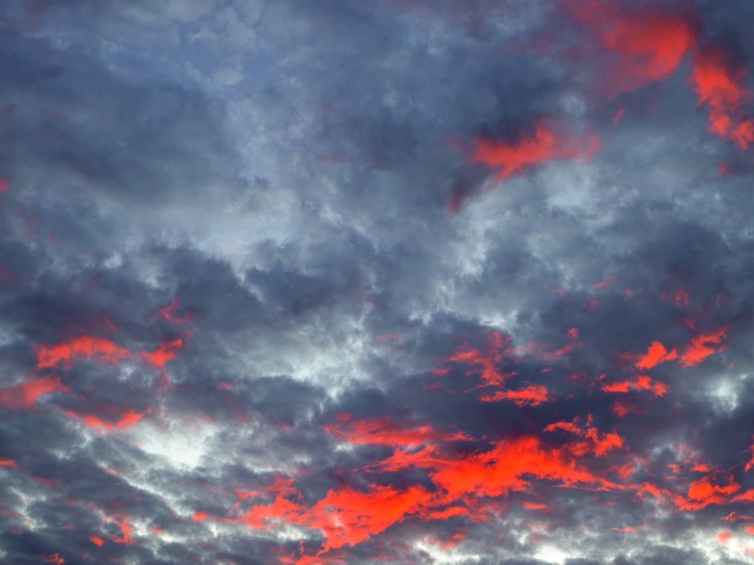 Photo #13741417
