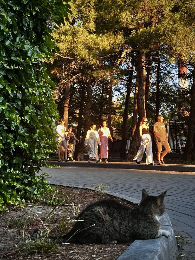 Photograph by Олеся Старицкая