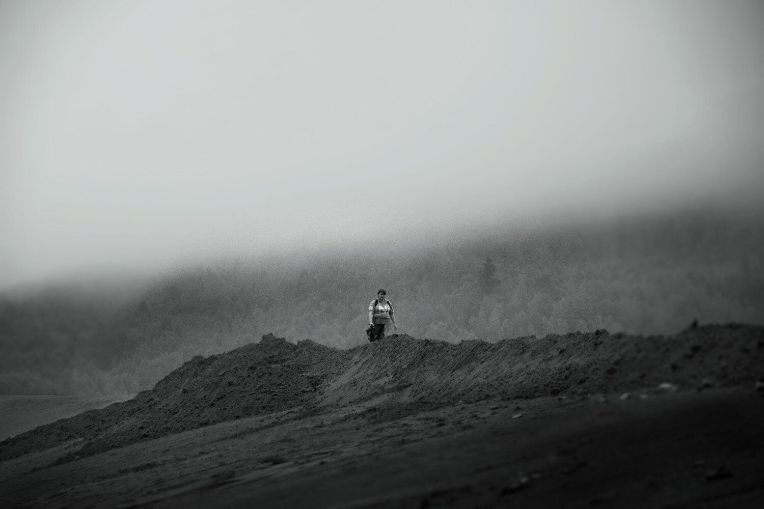 Photo #13741474