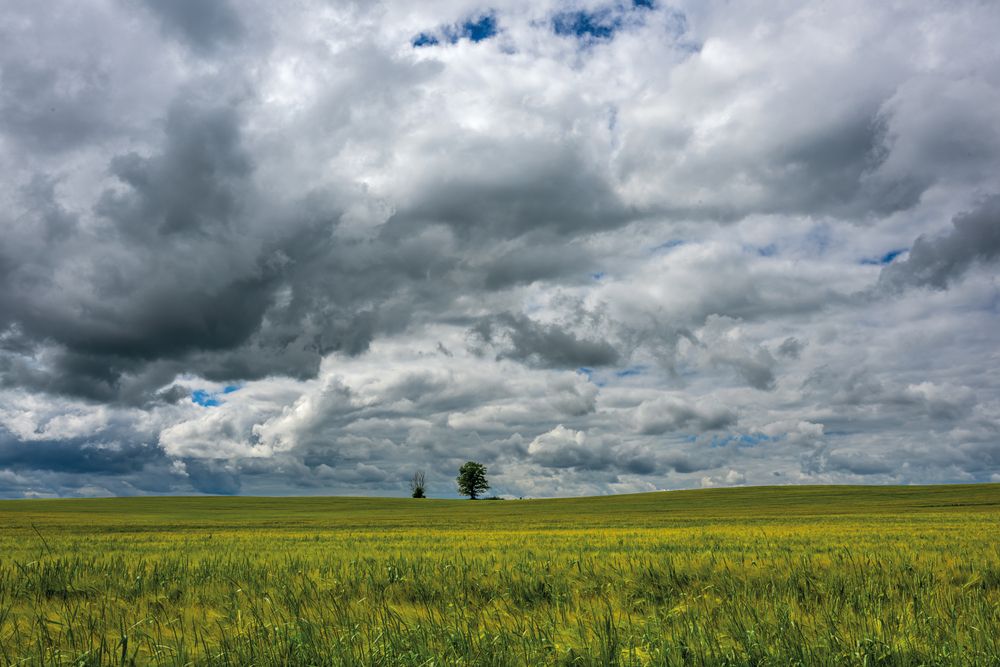 Photograph by Демьян Лопатов