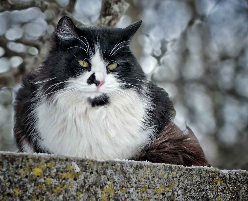 Photograph by Сергей Кошин