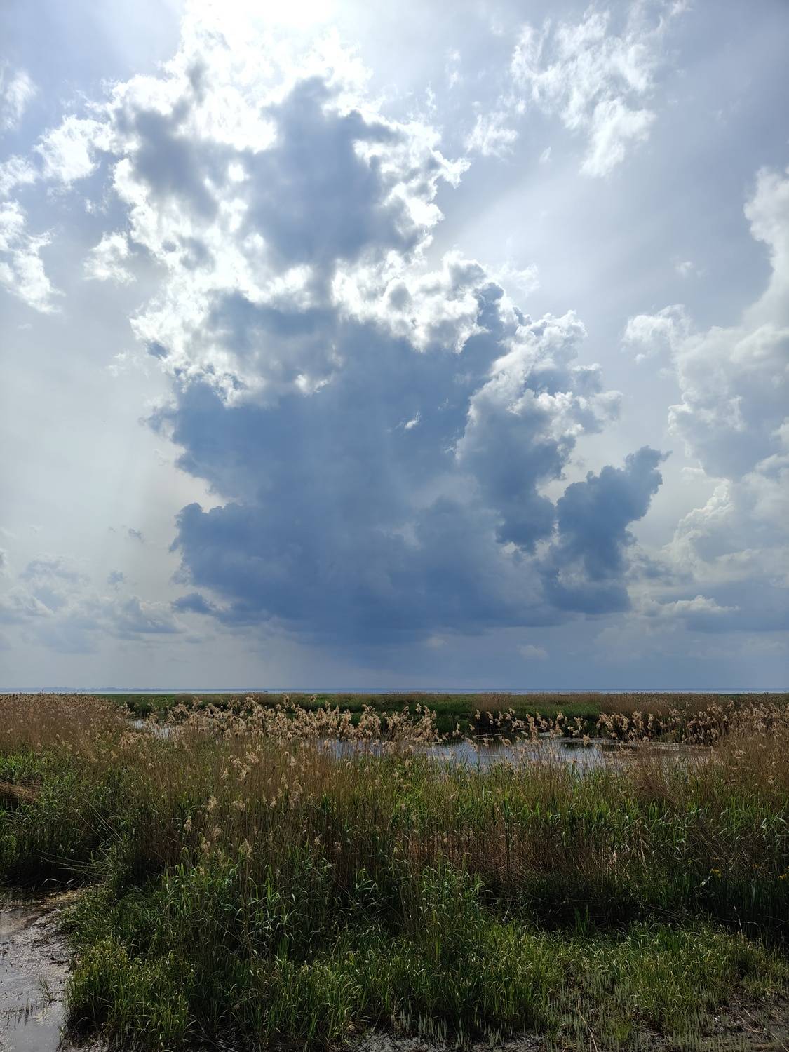 Photo #13741653