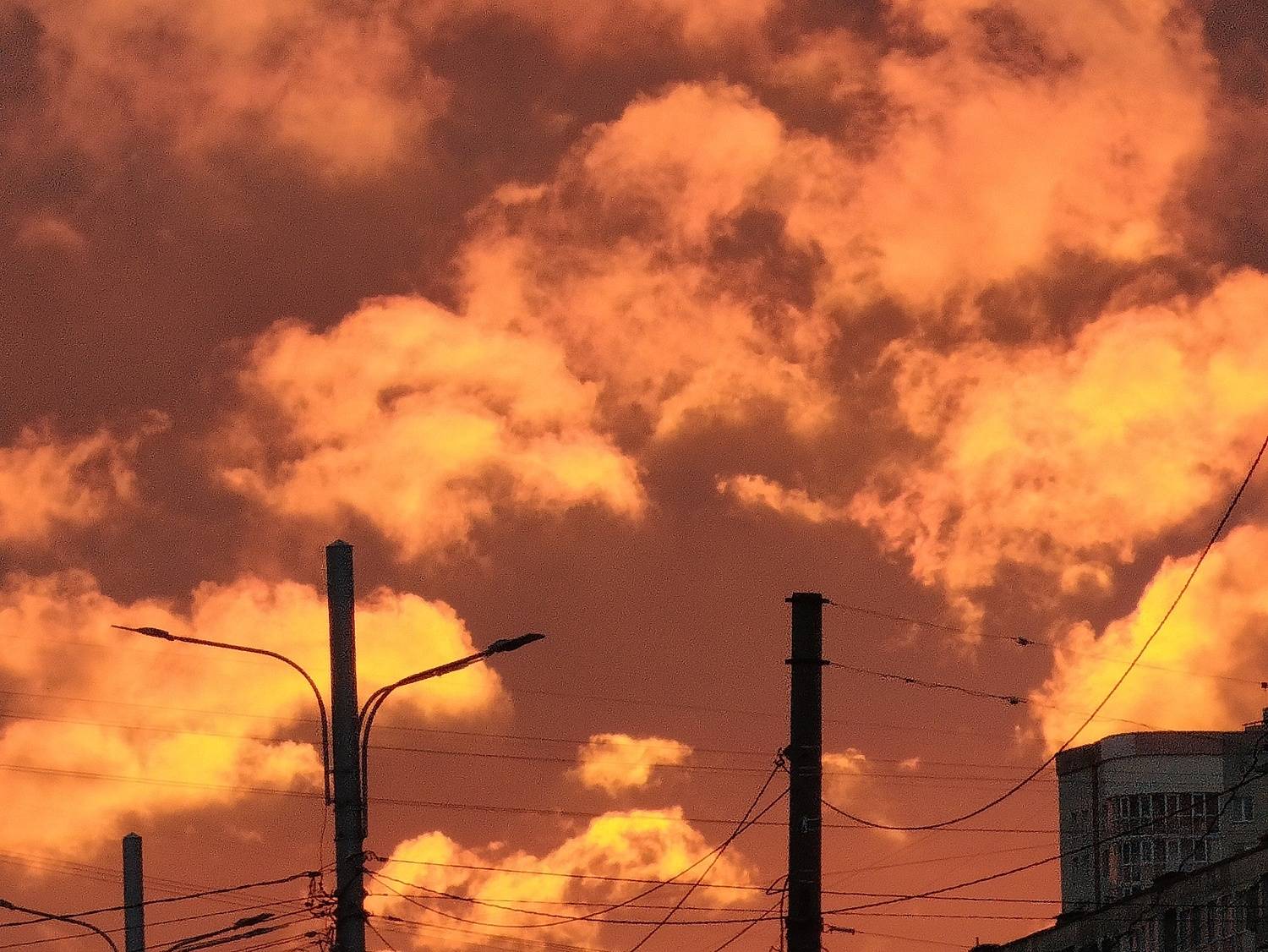 Photo #13741654