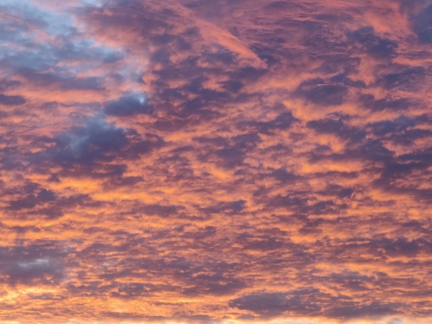 Photo #13741655