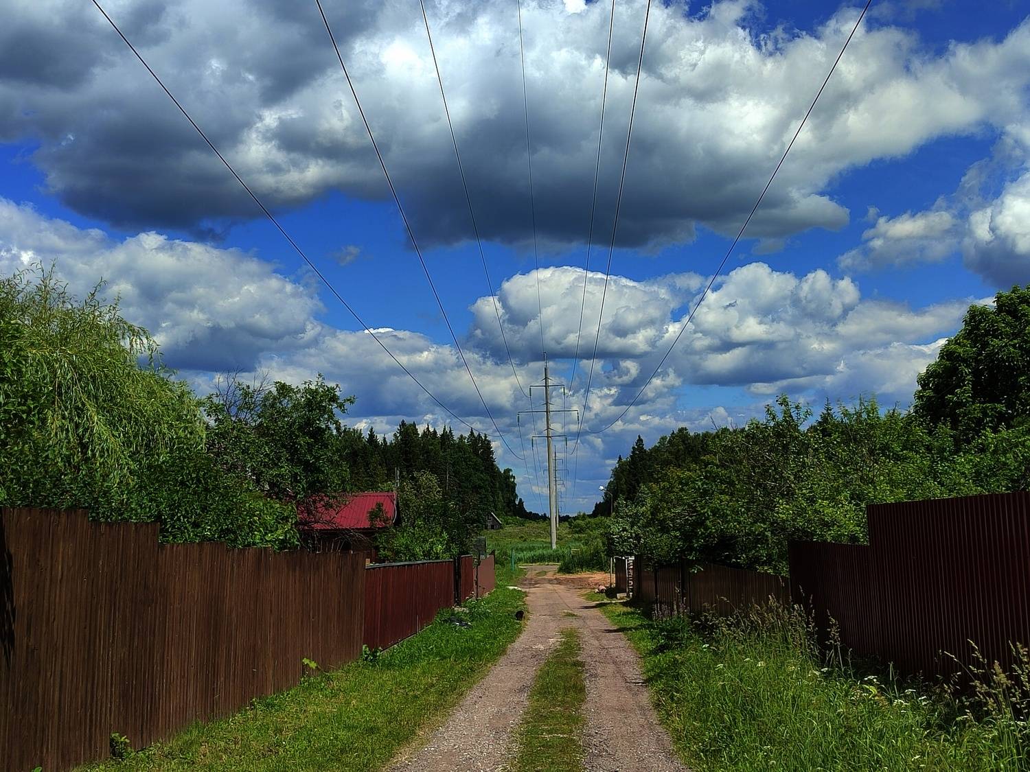 Photo #13741656