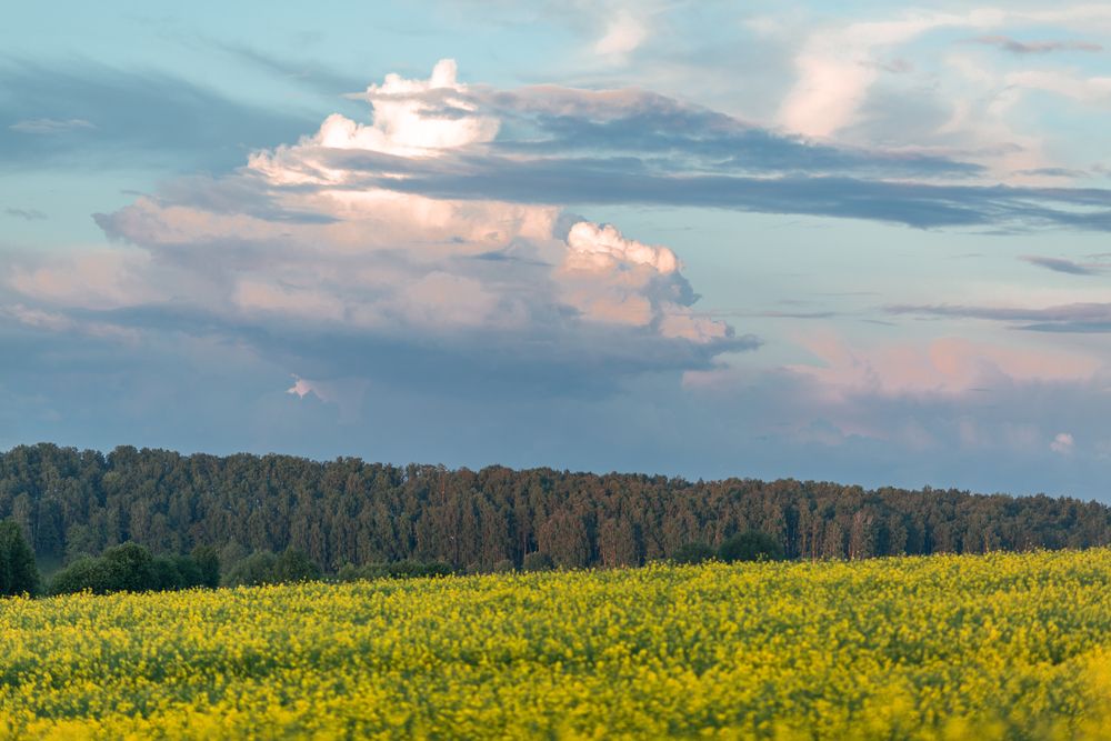 Photograph by Перепёлкина Анастасия