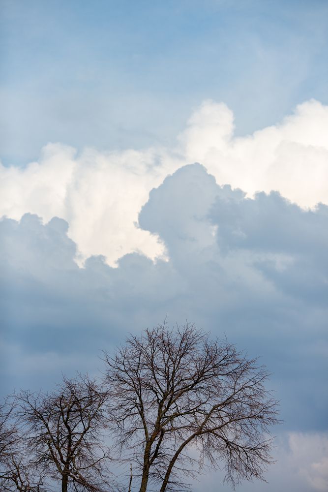 Photograph by Перепёлкина Анастасия